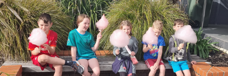 CHRISTMAS CANDY FLOSS